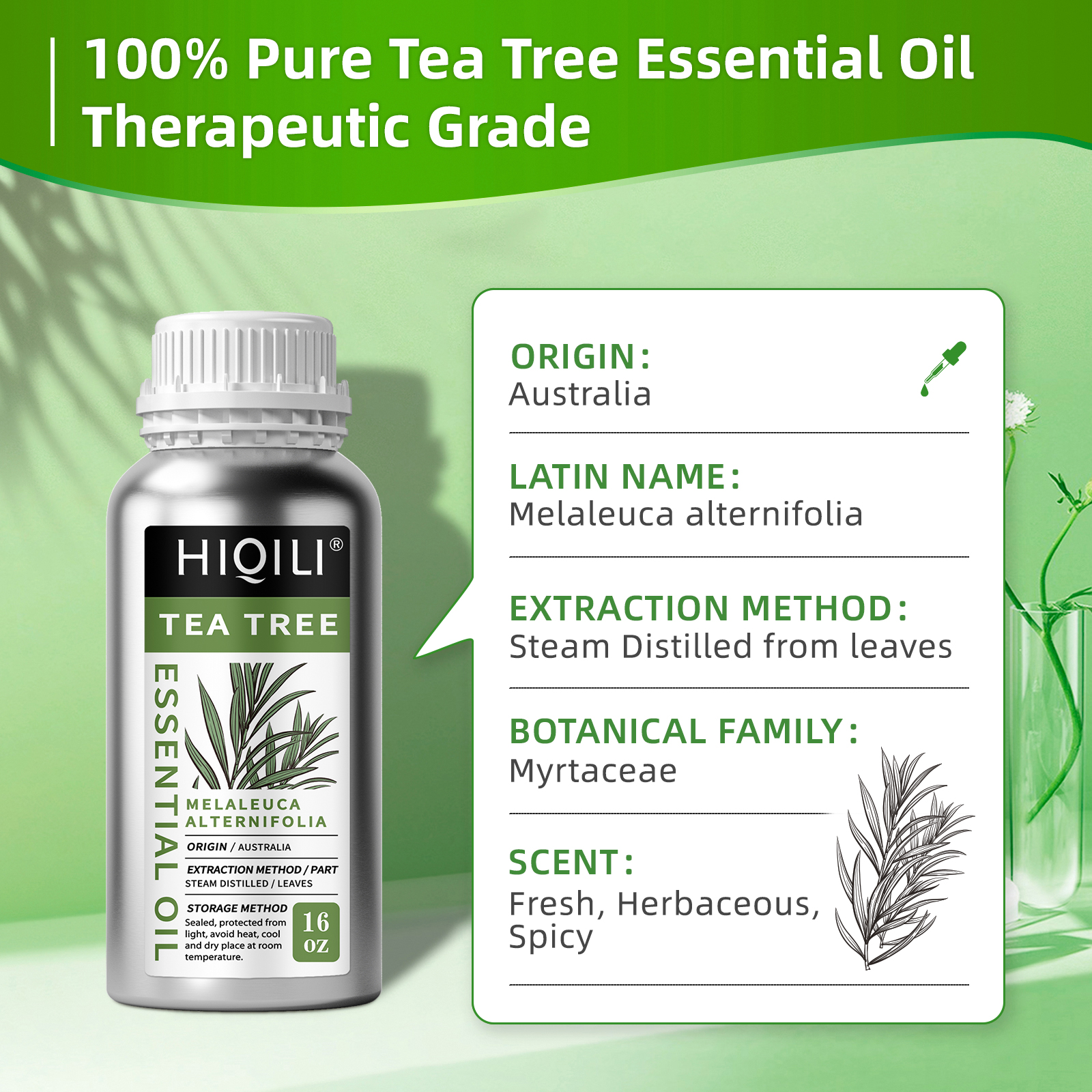 HIQILI 500ML Tea Tree Essentia - Hair Care Orange บทวิจารณ์และราคา